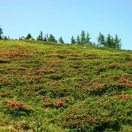 Appartement A 55 M2 Lachtal