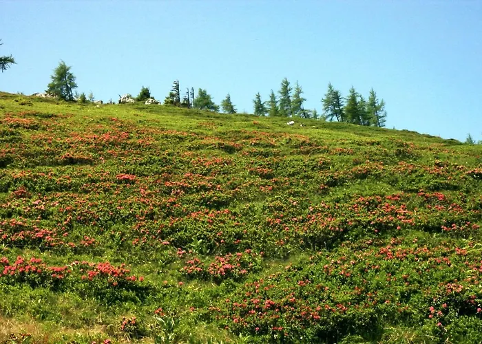 公寓 A 55 M2 拉赫陶
